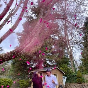 Meet your Posher, Nereida